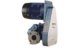 Belt driven rotary pump P2000